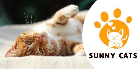 Sunny Cats