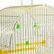 Клітка для птахів Sunny Pets латунь -A2110 (30*23*39) A2110 фото 5